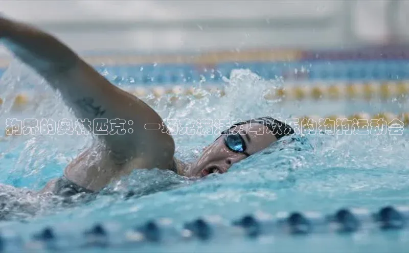 意昂官网登录入口